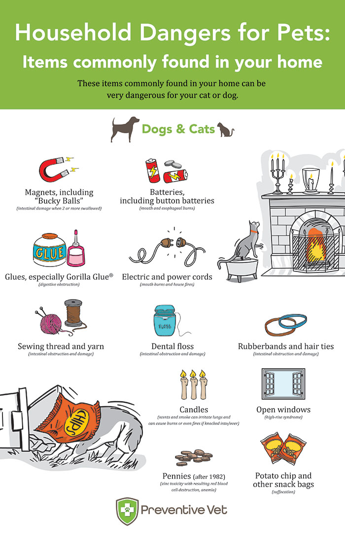 Preventive Vet | Veterinary Hospital Resource Center